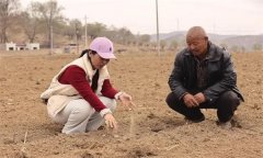 合理施肥的目標與技術(shù)要點有哪些？