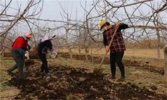 合理施肥的基本原理是什么？