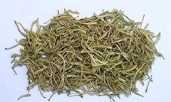 如何科學飲用金銀花茶？需注意哪些事項？