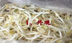 如何挑選豆芽？有根豆芽與無根豆芽有什么區(qū)別