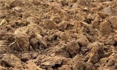 土壤肥力失衡、土壤質(zhì)量下降、土壤酸化怎么辦