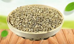 菠菜生長發(fā)育的過程是怎樣的？
