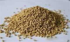 雞飼料中可以添加膽堿嗎？